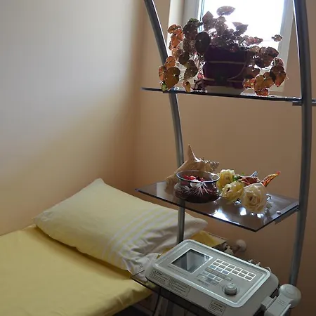 酒店 班基雅宫酒店